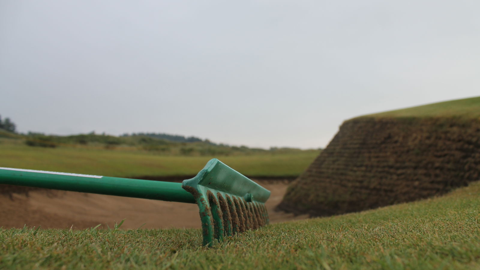 GOLF'S GREAT DEBATE! Do you leave the rake IN or OUT of the bunker?